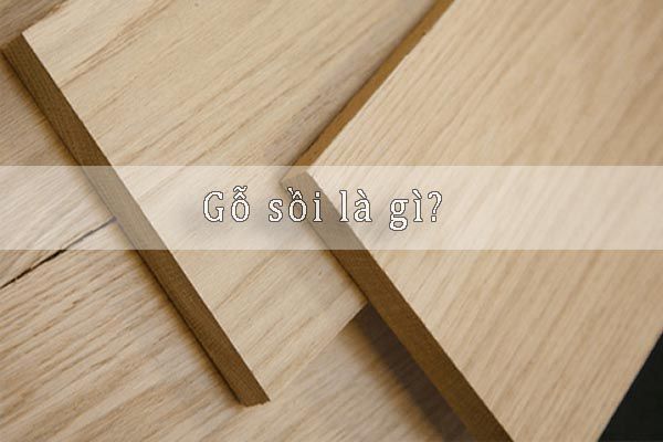 Gỗ sồi là gì - Đặc điểm và ứng dụng của gỗ sồi hay gỗ Oak
