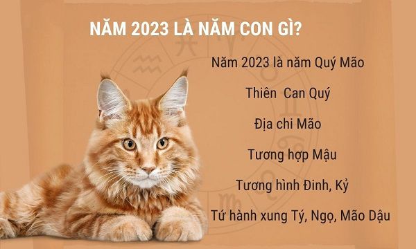 Năm 2023 là năm con gì? Tất tần tật những điều có thể bạn chưa biết về năm 2023|Vilahome